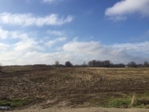 327 Acres of Farm Land