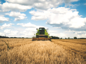 hudsonville fairgrounds auction (1)